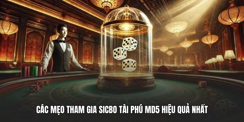 Các mẹo tham gia sicbo tài phú MD5 hiệu quả nhất
