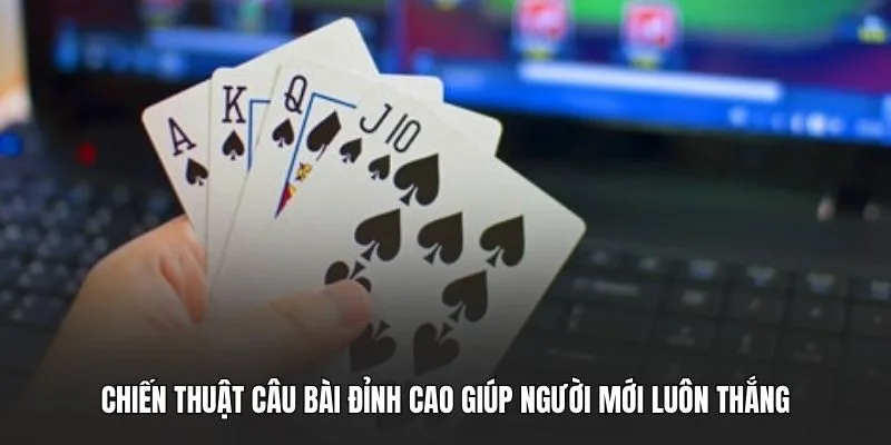 Chiến thuật câu bài đỉnh cao giúp người mới luôn thắng