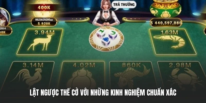 Lật ngược thế cờ với những kinh nghiệm chuẩn xác